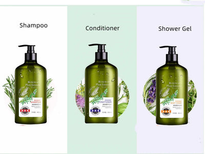 Rosemary Shampoo & Body Wash – seasoning, aroma, genus rosmarinus (Image 5)