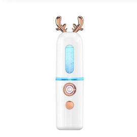 Spray Steam Facial Hydrating Beauty Device – atomizer, drier, blower (Image 1)