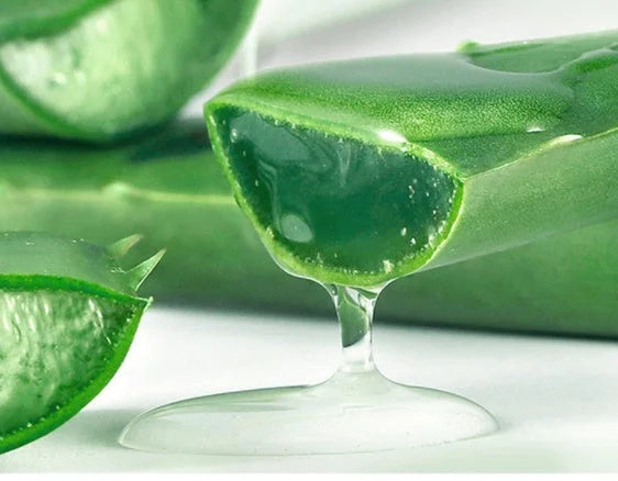 Aloe Gel – Hydrating & Soothing Facial Moisturizer – silicic acid, mist, serpentine (Image 8)