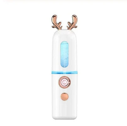 Spray Steam Facial Hydrating Beauty Device – atomizer, drier, blower (Image 1)